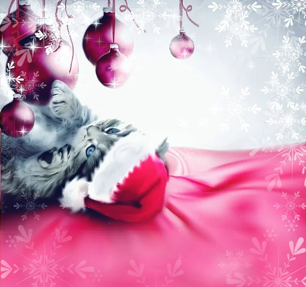 Küçük yavru kedi ile sevimli Noel tebrik kartı — Stok fotoğraf