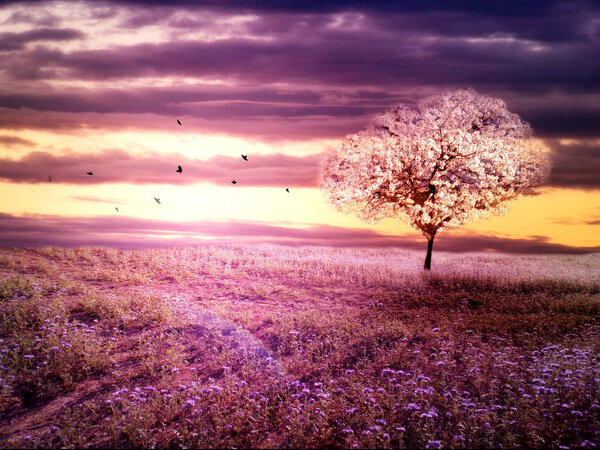 Romantic purple colored landscape of meadow whith tree in sunset
