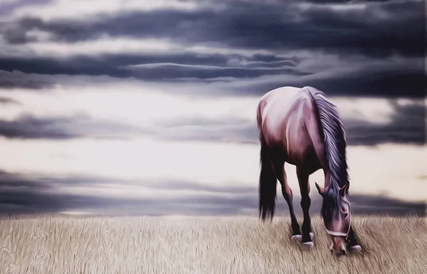 Horse grassing digital painting — Stock Photo, Image