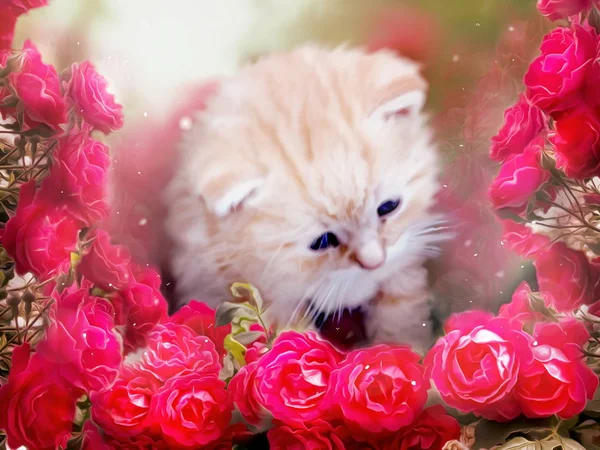 Котенок с красными розами — стоковое фото