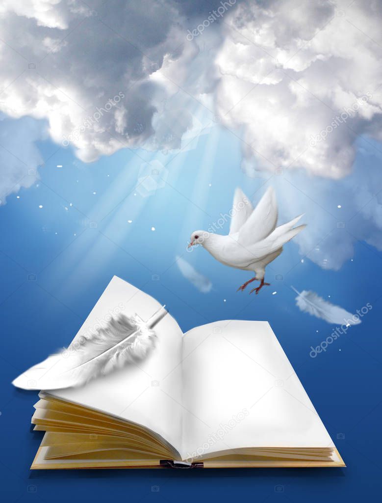 open book with pigeon