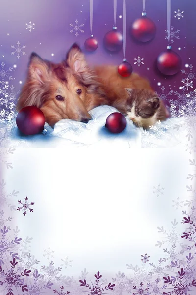 Christmas greeting card with pets — Stock Photo, Image