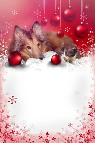 Carte de voeux de Noël avec animaux domestiques Photos De Stock Libres De Droits