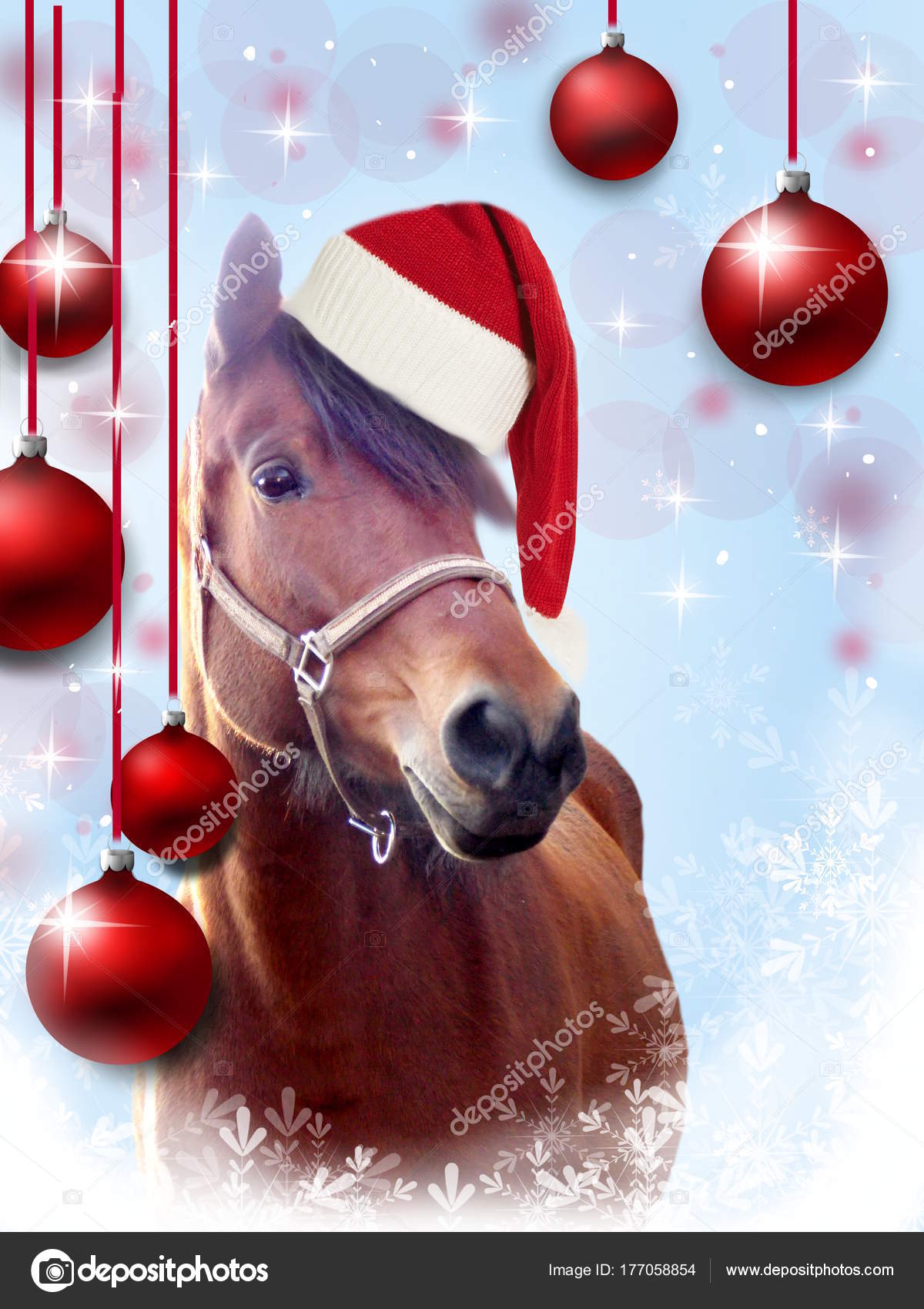 Buon Natale Horse.Christmas Greeting Card With Horse Stock Photo C Sidliks 177058854