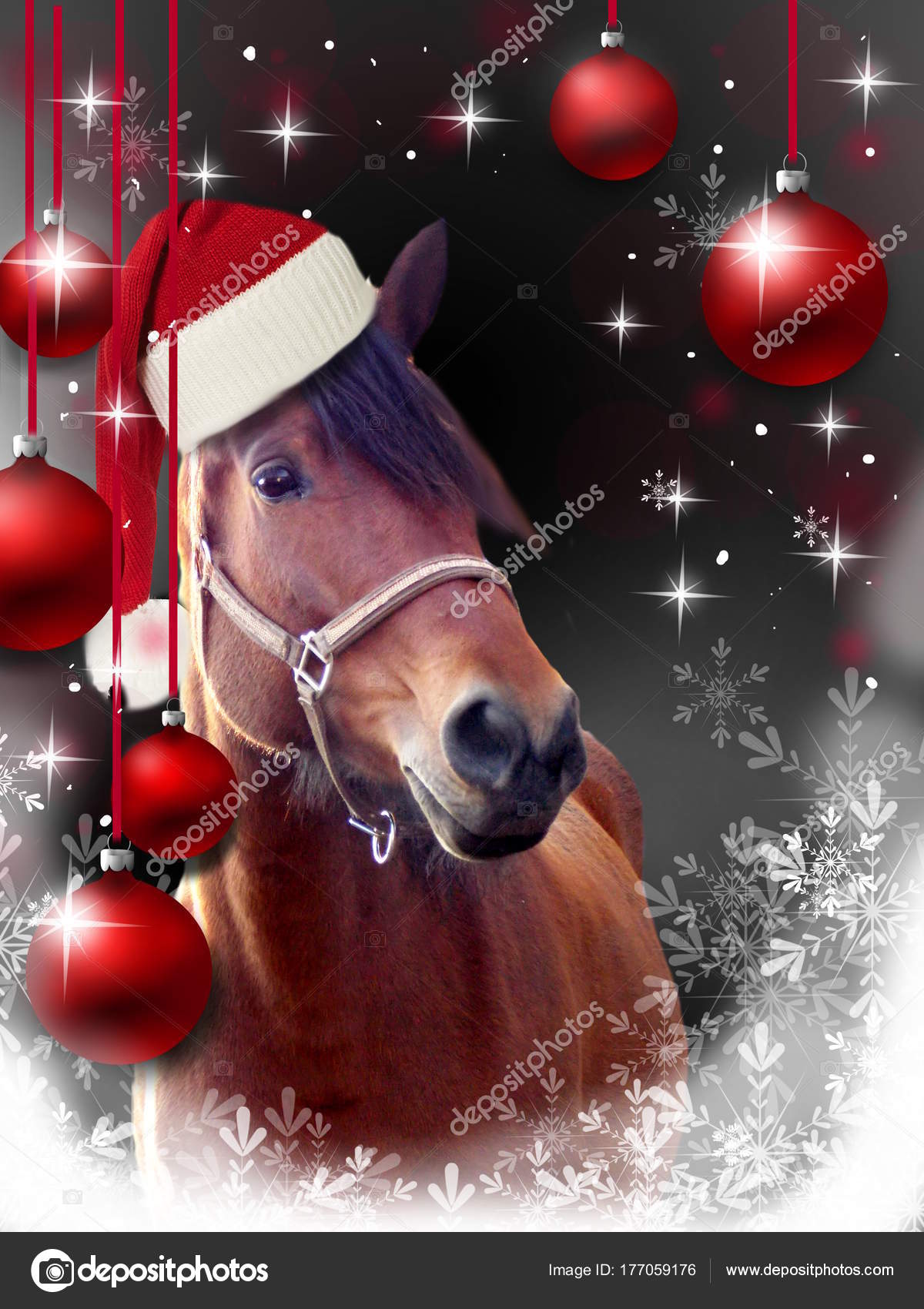 Buon Natale Horse.Christmas Greeting Card With Horse Stock Photo C Sidliks 177059176