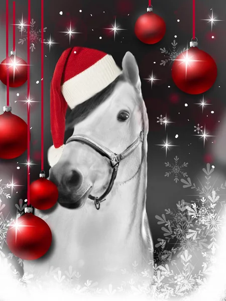 Christmas greeting card with horse — Stock Photo, Image