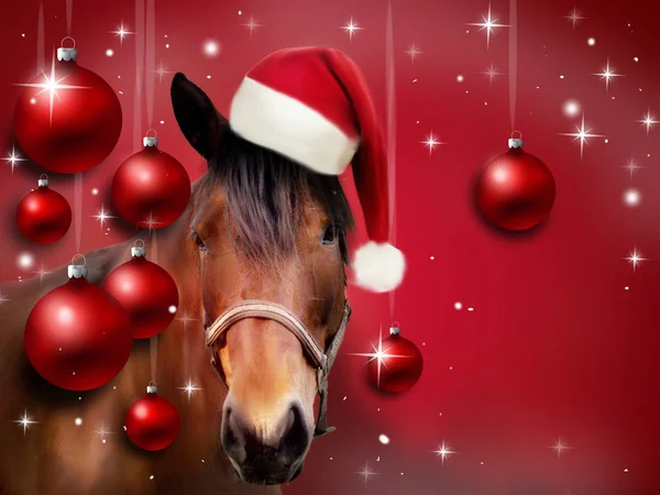 Boże Narodzenie z życzeniami z koniem — Zdjęcie stockowe