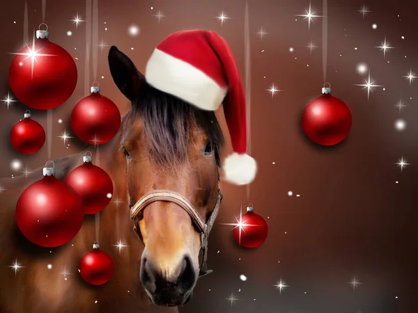 Christmas wenskaart met paard — Stockfoto