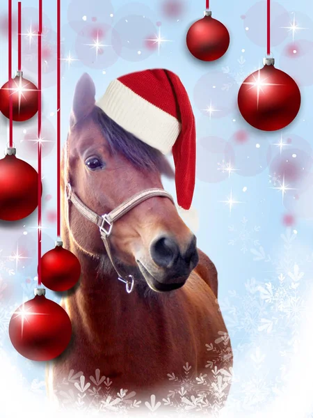 Tarjeta de felicitación de Navidad con caballo — Foto de Stock