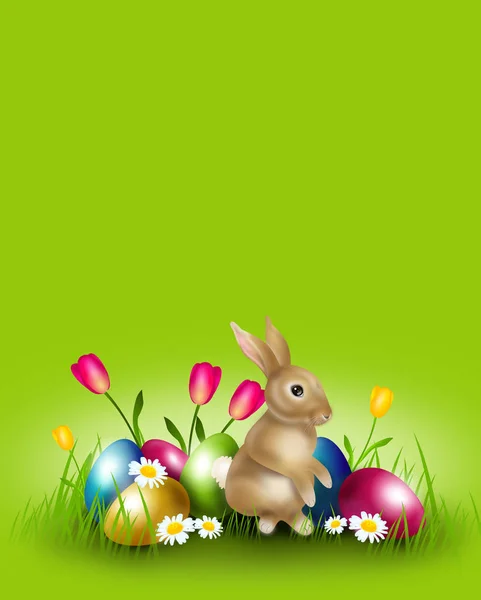 Fond de Pâques décoré avec des œufs de Pâques et lapin — Photo