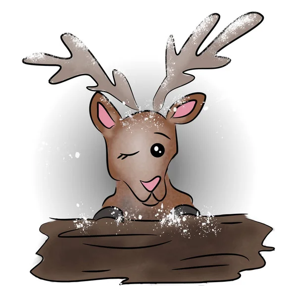 Reindeer in winter — Stock Photo, Image