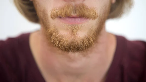 closeup of red beard of young man