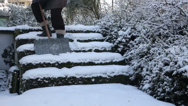 Γυναίκα φτυαρίζει το χιόνι βαρύ από σκάλες — Αρχείο Βίντεο