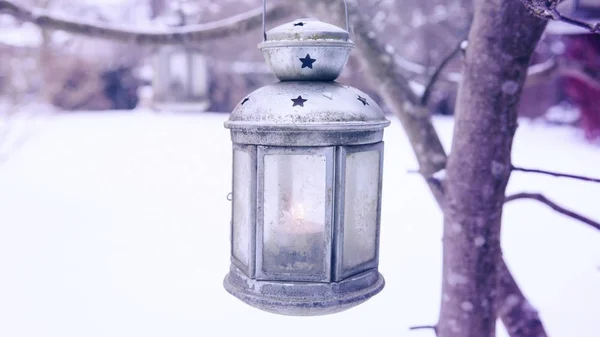 Lanterna com vela acesa pendurada na árvore — Fotografia de Stock