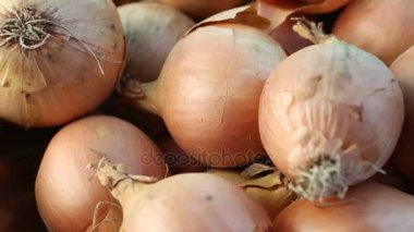 soğan tablo dönen Tarih yığını