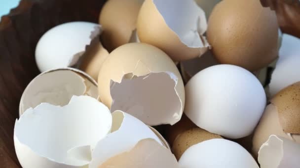 Rotační dřevěná miska s prázdná nefunkční vaječných skořápek — Stock video