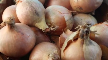 soğan tablo dönen Tarih yığını