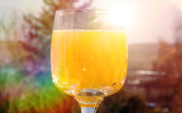 Vidro de suco de laranja à luz do sol — Fotografia de Stock
