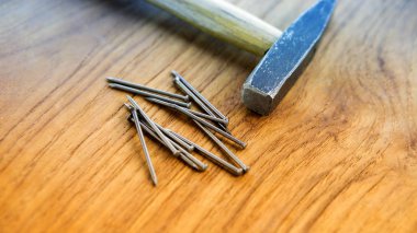 ile ahşap yaban domuzu üzerinde çivi çekiç