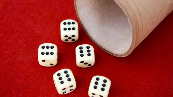 Six dice with cup on red table — Stock Photo, Image