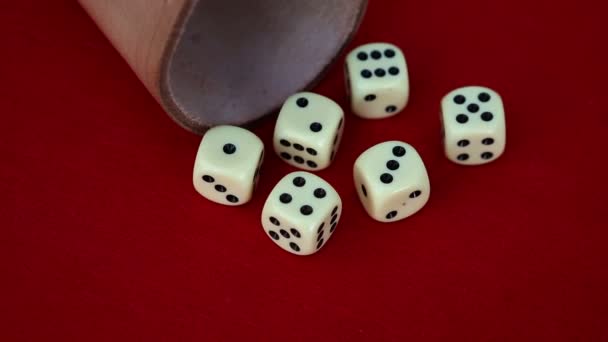 Šest kostek s cup na červené rotační stůl — Stock video