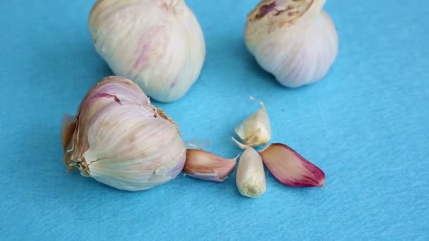 Nahaufnahme von Knoblauch auf einem blauen Drehtisch — Stockvideo