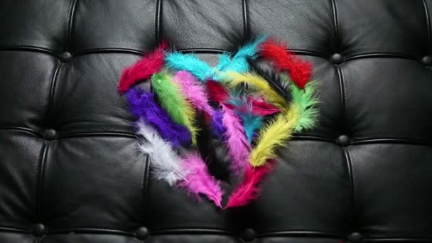 Plumas de colores formados como corazón en el sofá de cuero negro volar lejos — Vídeo de stock