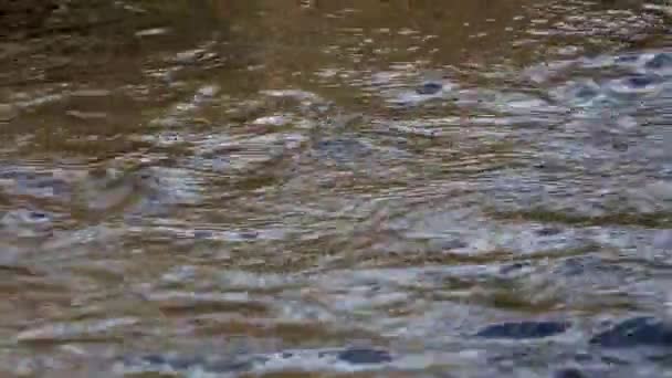 Primer plano de pequeño barco de papel blanco en un río — Vídeos de Stock