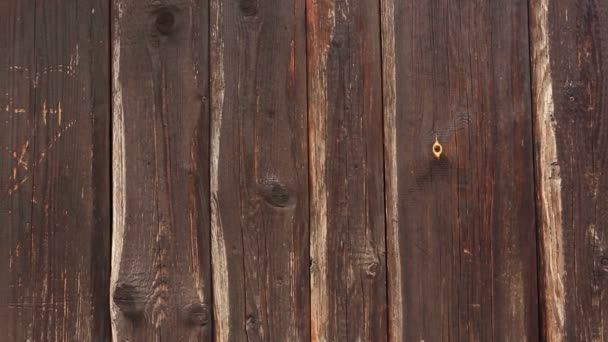 Close-up van een bruin houten hek — Stockvideo