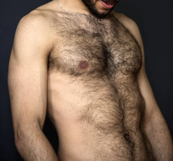 Closeup of hairy naked upper body of a man - Stock Image. 