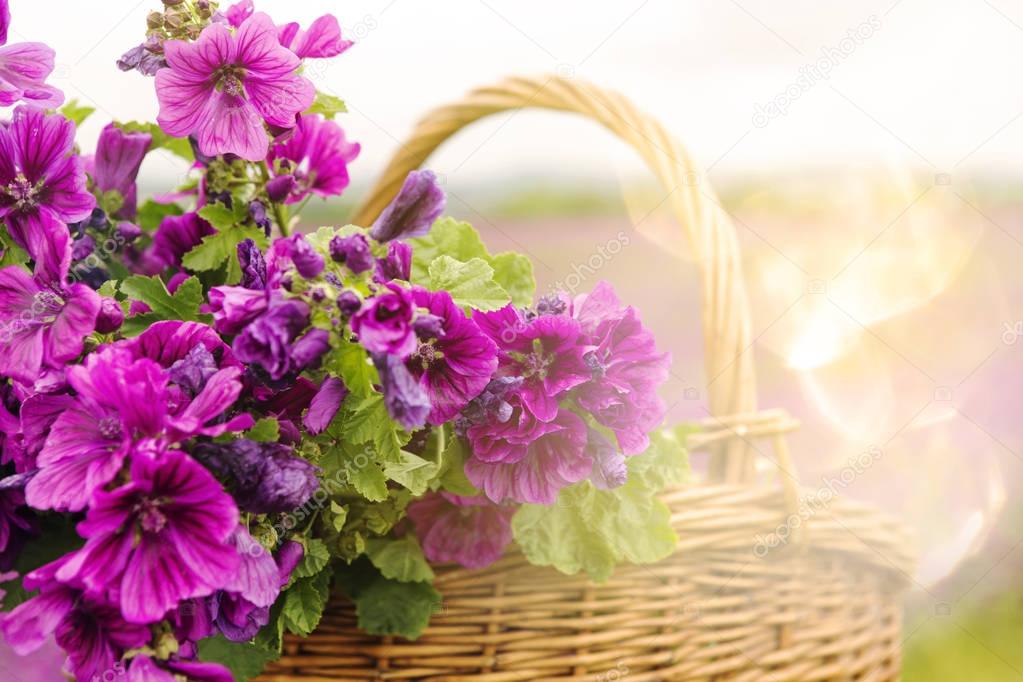 closeup of basket with purple mallow