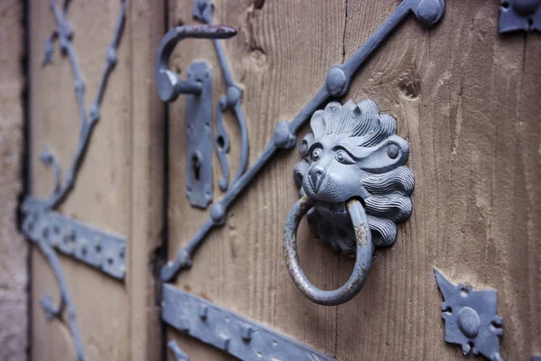 ライオン ヘッド (アイアン) と古い素朴なドア — ストック写真