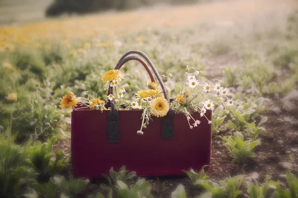 Cesta vermelha com flores em um campo — Fotografia de Stock