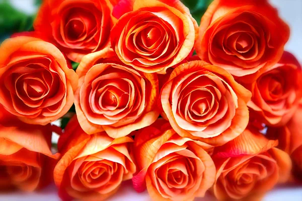 Gros plan du bouquet de roses orange — Photo