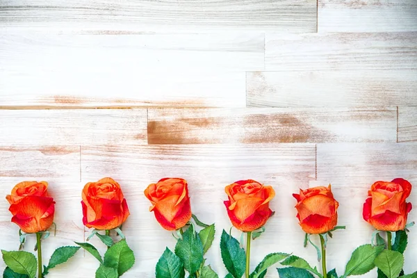 Orange rosor uppradade i en rad på trä bakgrund — Stockfoto