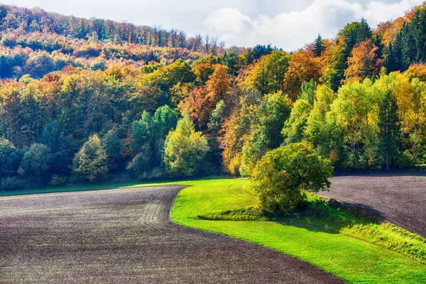 Красивий барвистий ліс і поле восени — стокове фото