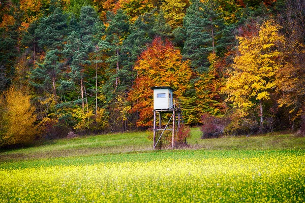 Hunters hut in front of colorful forest in the fall — Stock Photo, Image