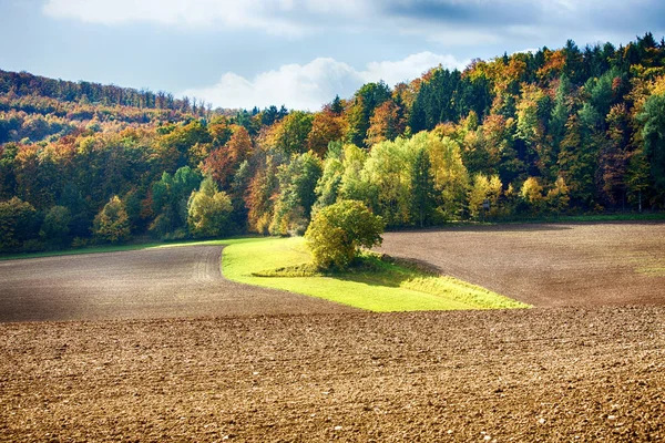 Красивий барвистий ліс і поле восени — стокове фото