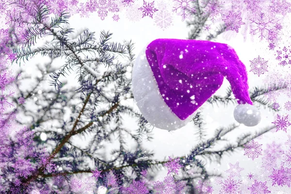 purple Santa hat hanging from tree with snow