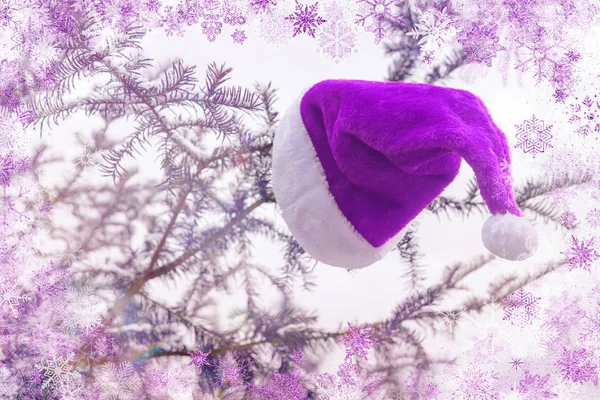 Chapéu roxo de Santa pendurado na árvore — Fotografia de Stock