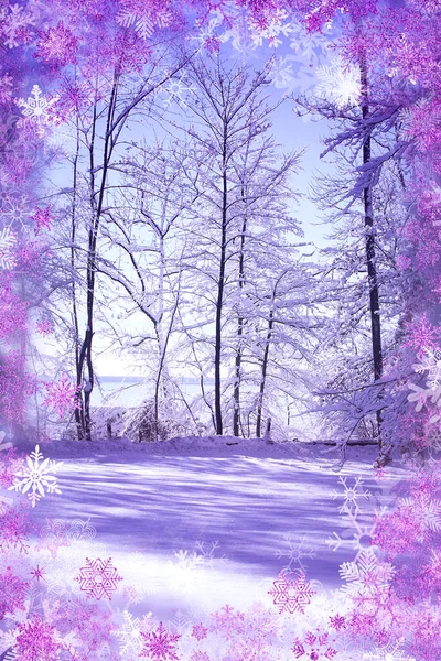 Besneeuwde landschap met bomen en paarse sneeuwvlokken — Stockfoto