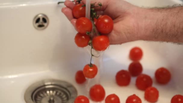 Cinemágrafo Mão Lavando Tomates Pia — Vídeo de Stock