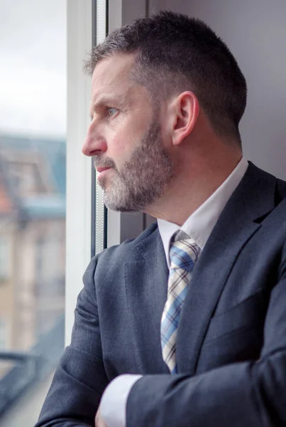 Handsome businessman standing by the window — Stock Photo, Image