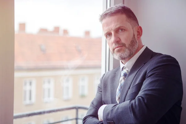 Handsome businessman standing by the window — Stock Photo, Image