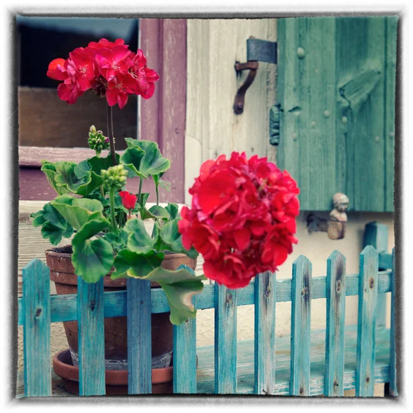 Okenní parapet s červenými květy a staré dřevěné okenice — Stock fotografie