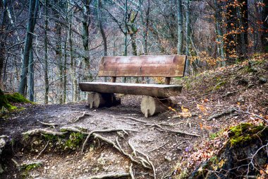 Ormanın içinde yıpranmış eski ahşap Bank 