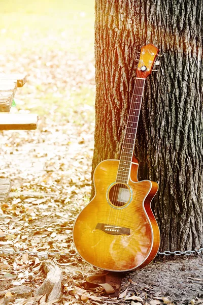 Guitar leaning on tree trunk in park — Stock Photo, Image