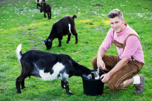 Blond bavarian man feeding goats outdoors — Stock Photo, Image