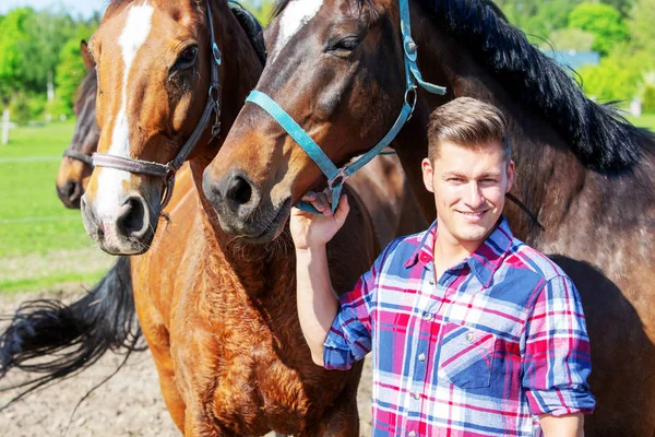 Handsome blond man with brown horses — Stock Photo, Image