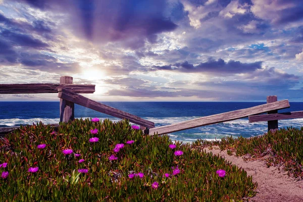 Vacker Utsikt Över Havet Med Vildblommor Och Trästaket — Stockfoto